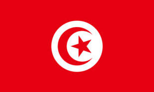 The flag of Tunisia
