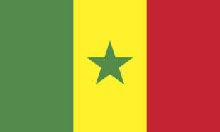 The flag of Senegal