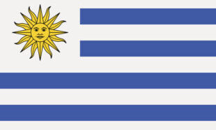 The flag of Uruguay