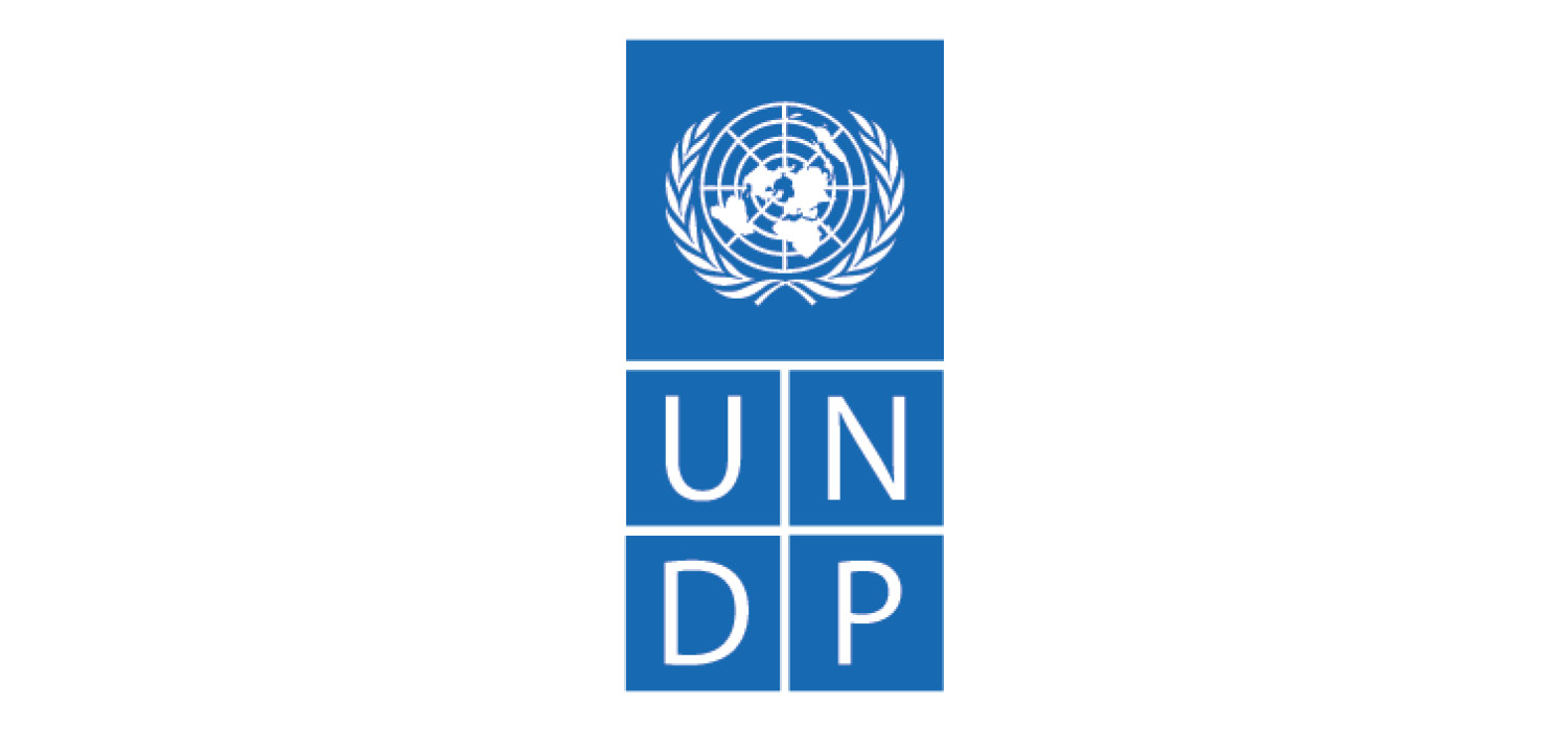 UNDP logo (vertical)
