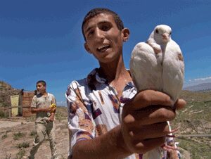 Middle eastern man holding a dove outside