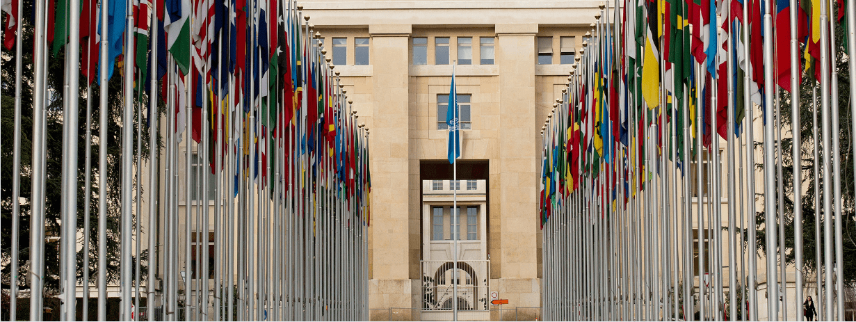 row of world flags