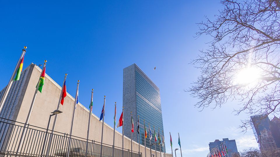 World flags in front of the United Nations Headquarters. Blue sky, sun, and trees are in the background.