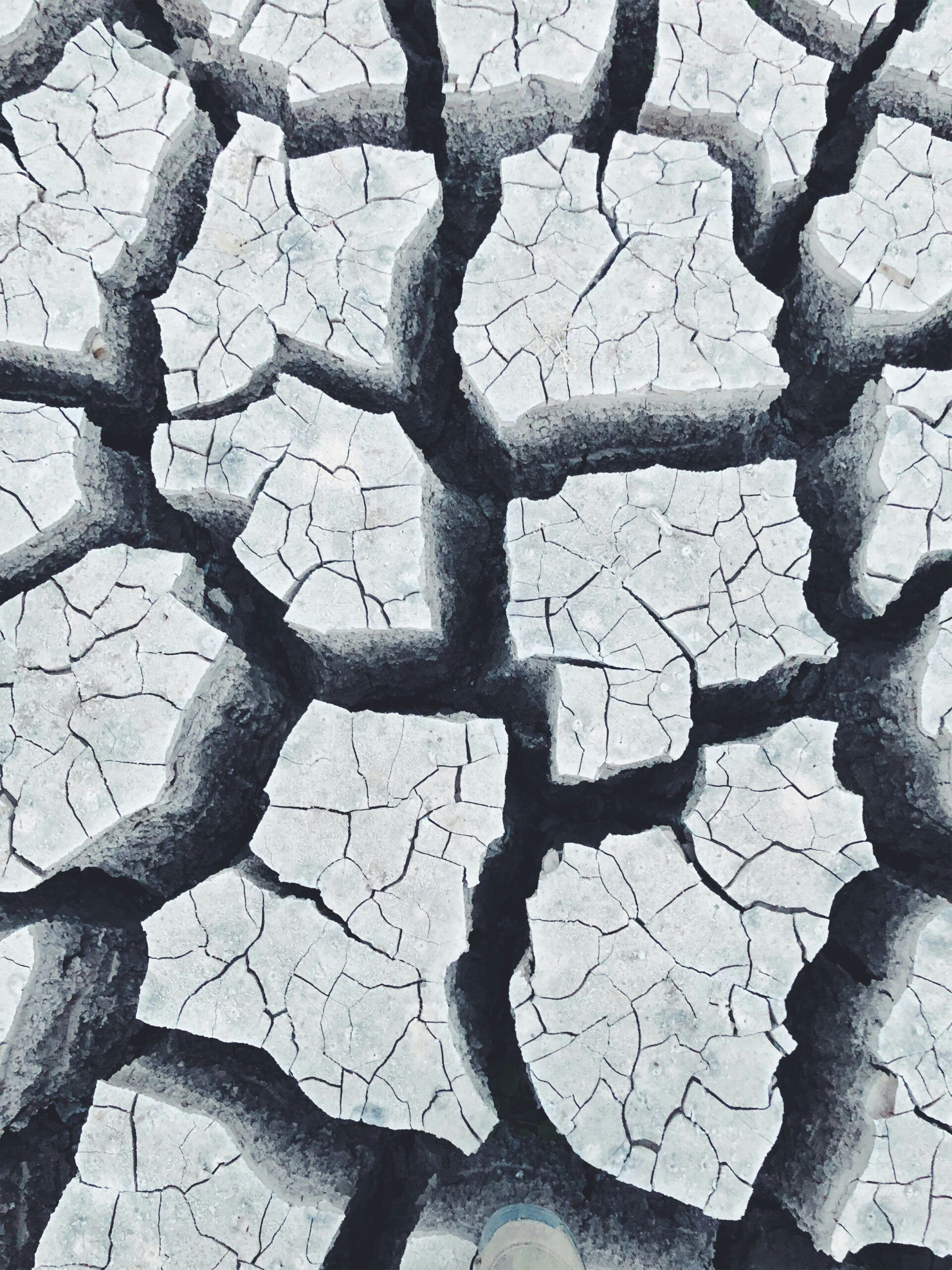 A close-up image of dry, cracked earth with a predominantly white and gray color palette.