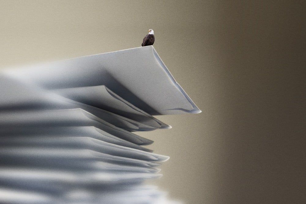 A bald eagle perched atop a stack of papers, symbolizing the weight of responsibility and the importance of informed decision-making.