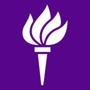 Torch icon in white over a purple background.