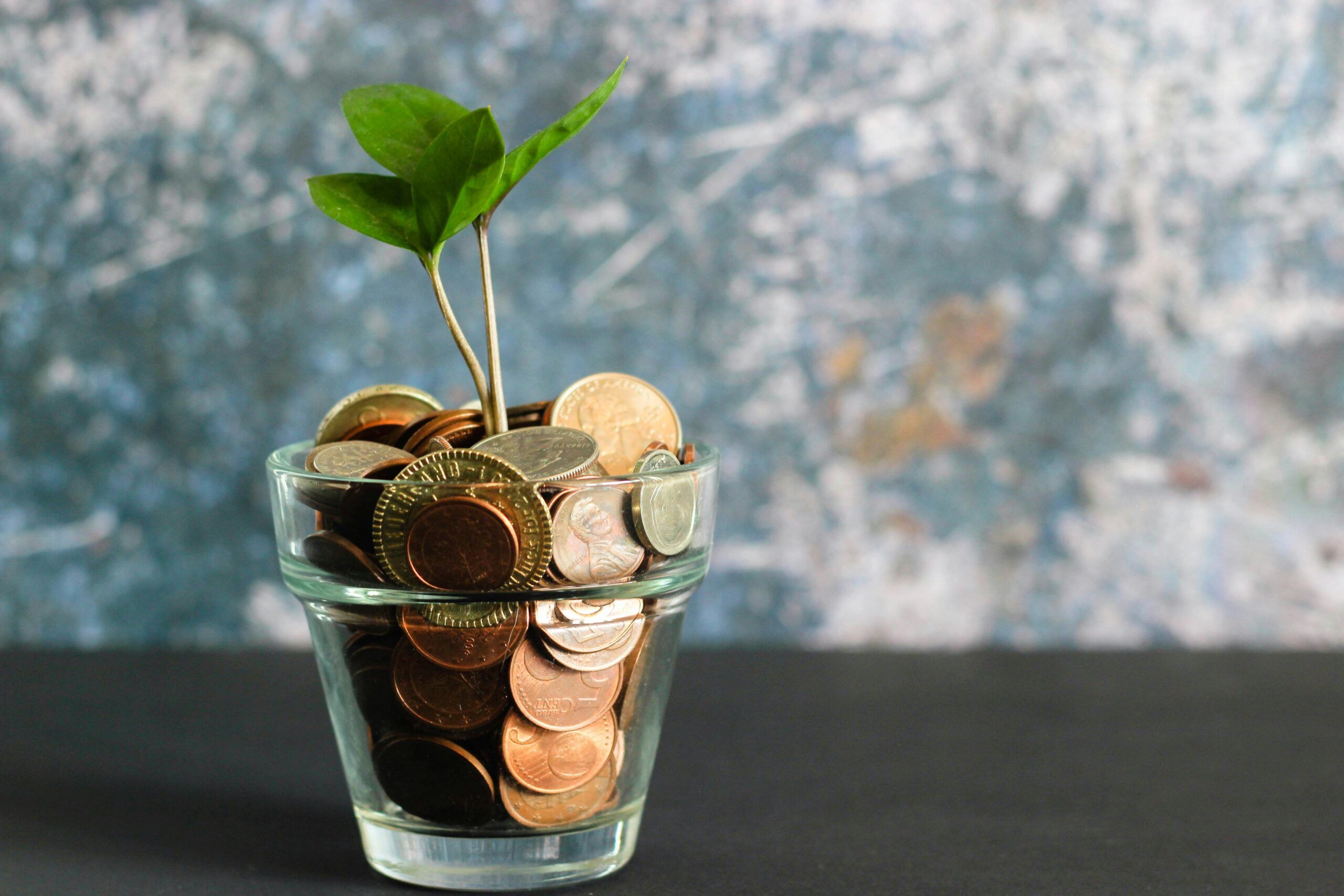 Coins in a glass cup with plant coming out against a textured background.
