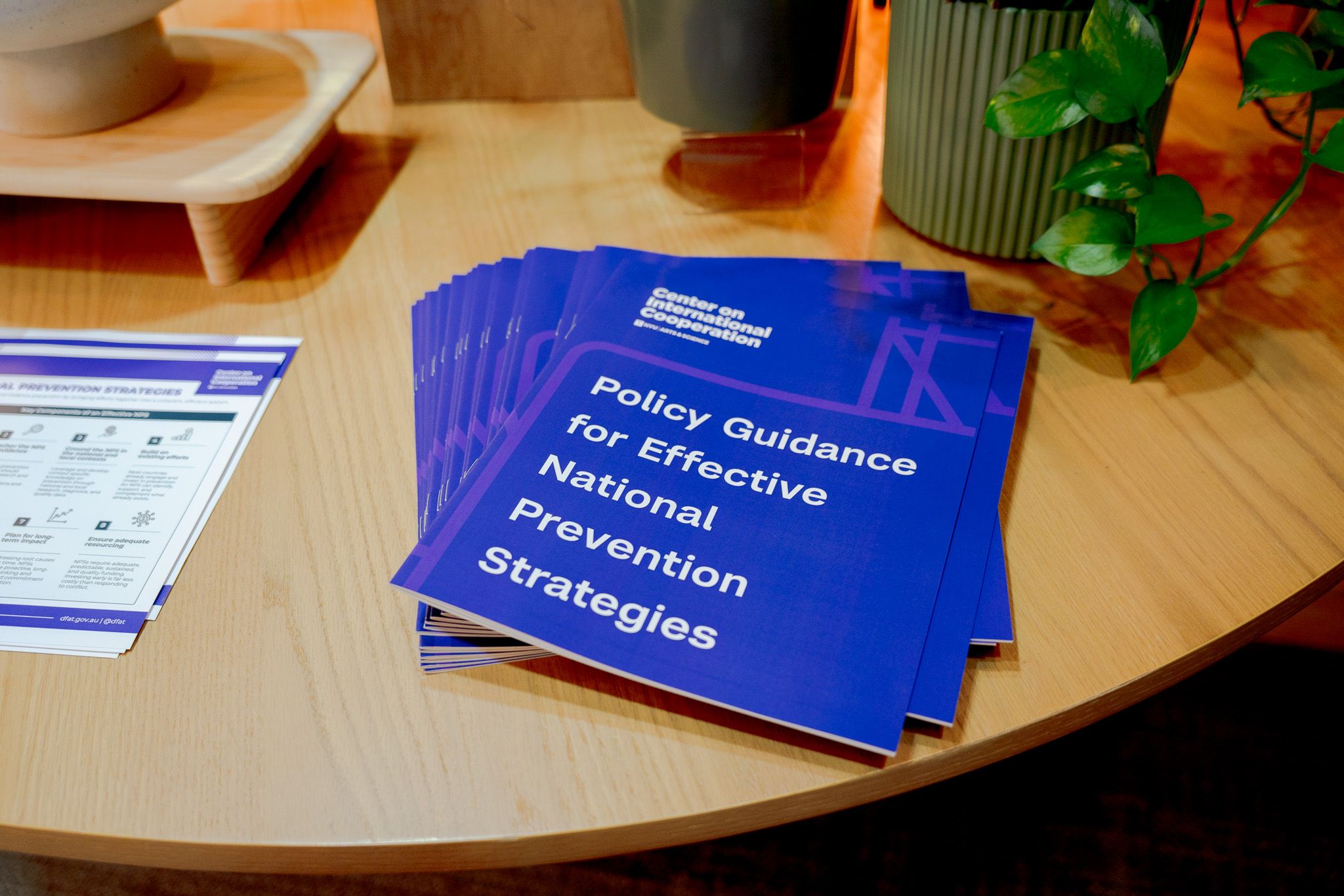 Macro shot of the policy guidance for national prevention strategies document on a table.