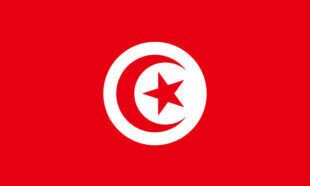 The flag of Tunisia