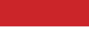 The flag of Indonesia