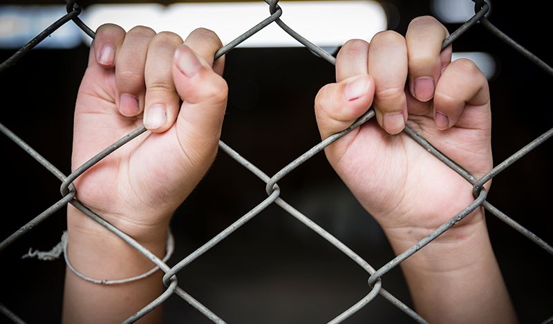 closeup of a child's hands clinging to a wire fence