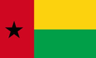 The flag of Guinea Bissau