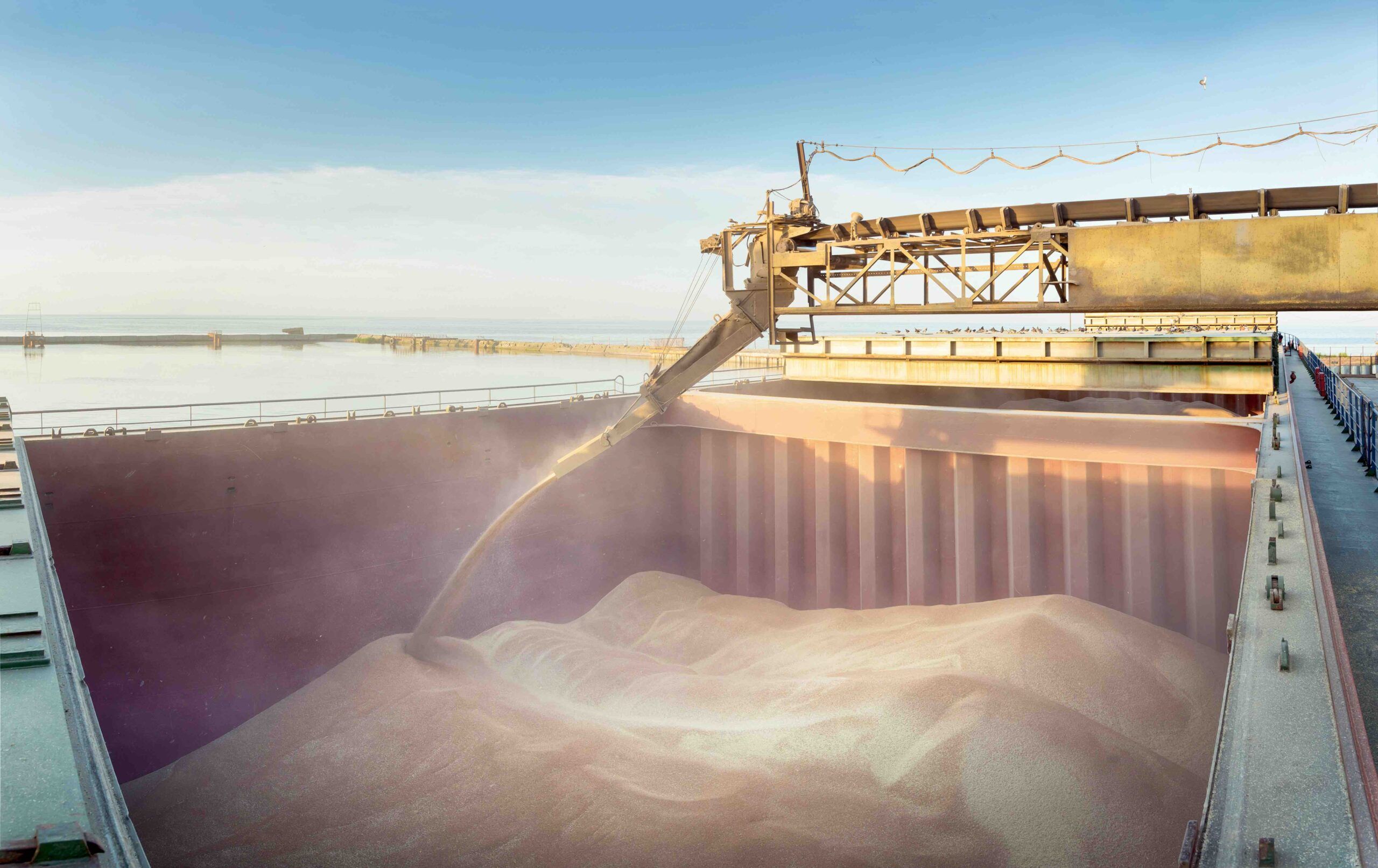 Wheat being loaded onto a ship