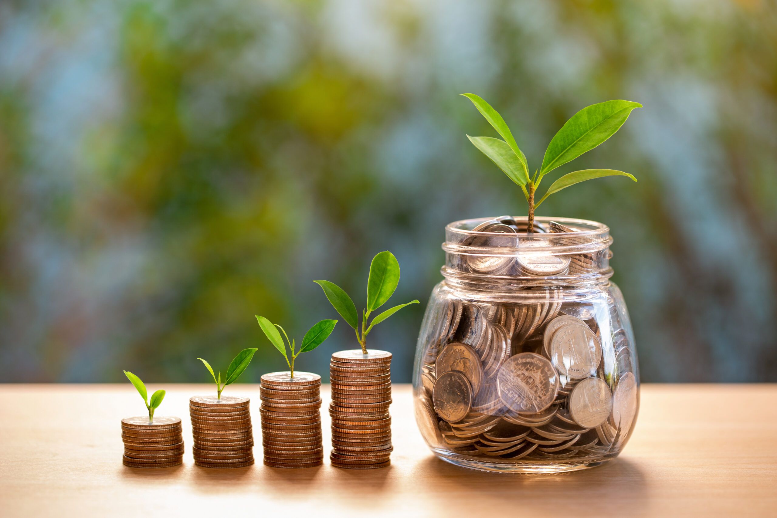 Plant growing in savings coins with nature background. Saving money and investment concept.