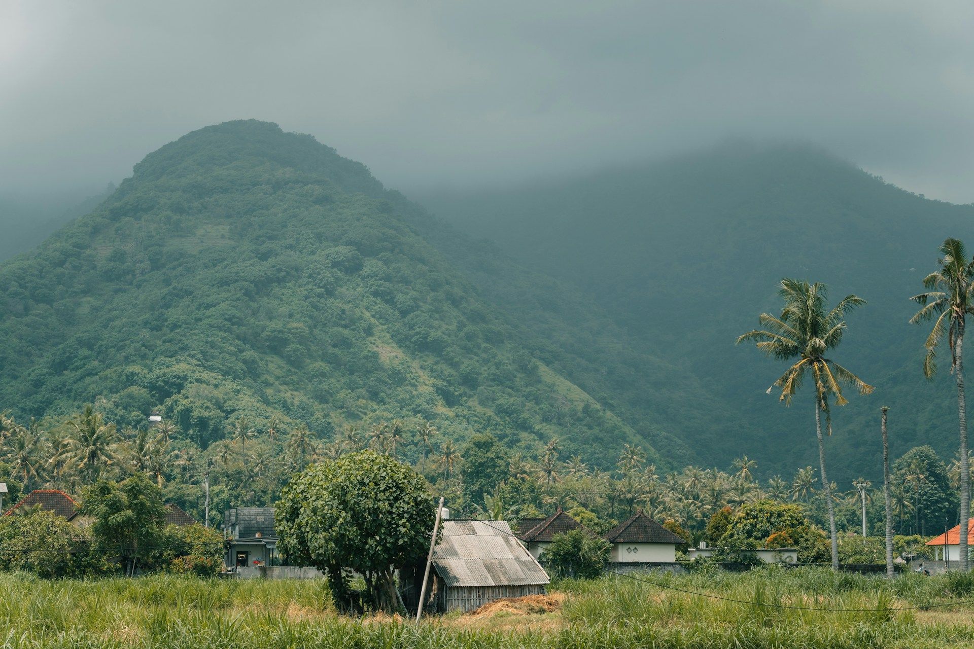 Front page of The Time is Now to Connect Indigenous-led Environmental Protection with Climate Policy
