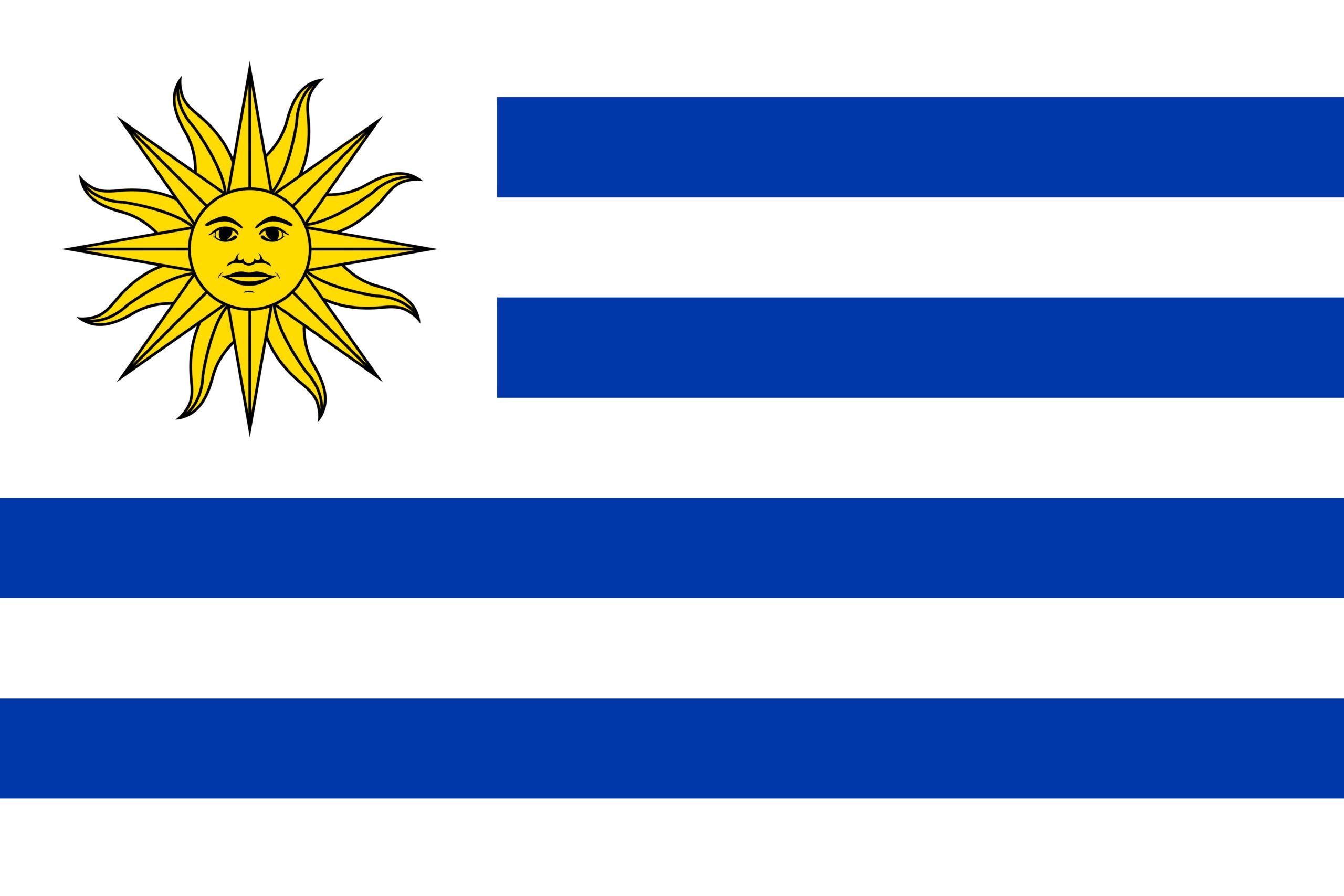The flag of Uruguay