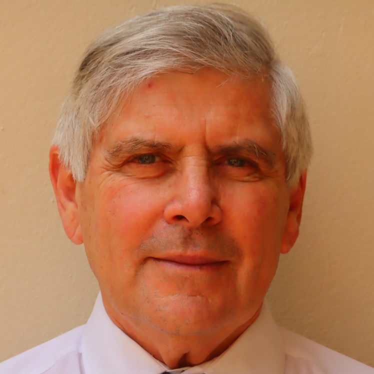Headshot of a person in a collared shirt and blue tie.